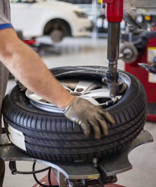 photo-1599082267768-4815b2ea6bd2